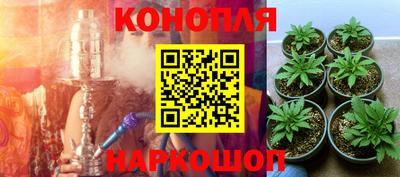 Альфа ПВП Заволжье