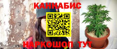 Альфа ПВП Заволжье