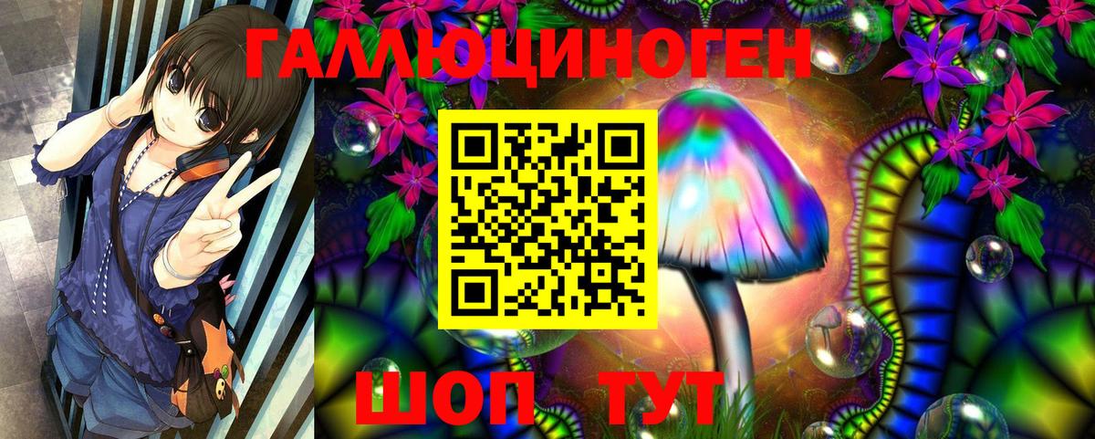 Лесозаводск  Галлюциногенные грибы прущие грибы  Вход с VPN 